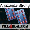 Anaconda Strong 05